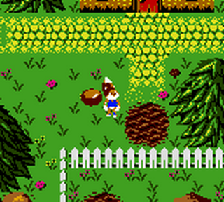 Conker's Pocket Tales - GameBoy Color