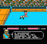 Tecmo World Wrestling - NES - Retro Island Gaming