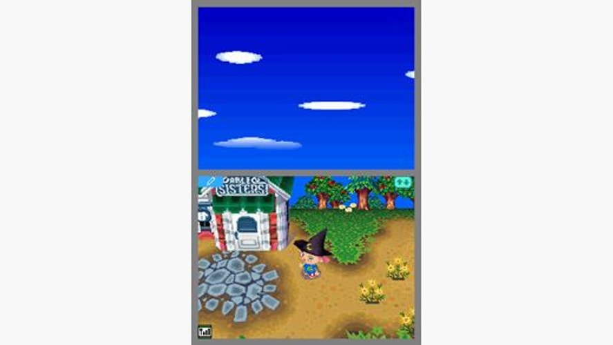 Animal Crossing Wild World - Nintendo DS - Retro Island Gaming