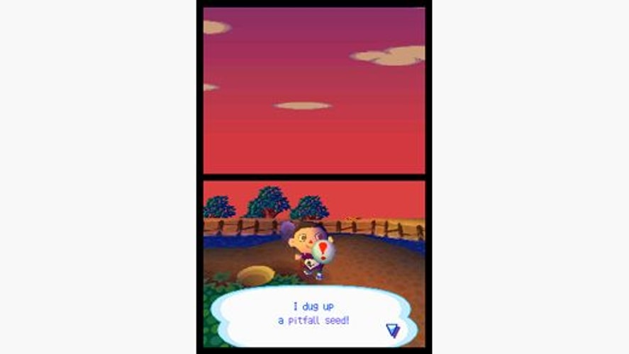 Animal Crossing Wild World - Nintendo DS - Retro Island Gaming