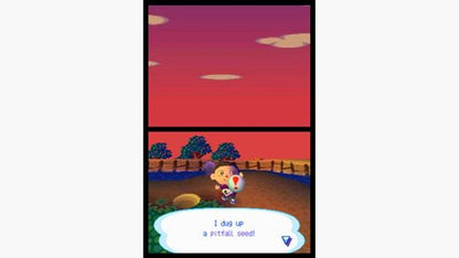 Animal Crossing Wild World - Nintendo DS - Retro Island Gaming