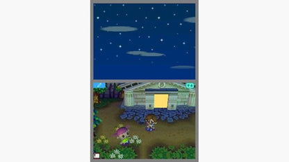 Animal Crossing Wild World - Nintendo DS - Retro Island Gaming