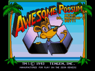 Awesome Possum - Sega Genesis - Retro Island Gaming