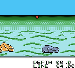 Black Bass Lure Fishing - GameBoy Color - Retro Island Gaming