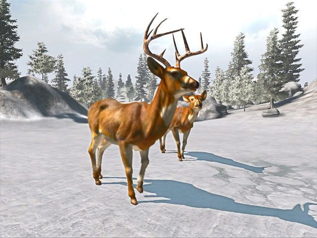 Cabela's Trophy Bucks - Xbox 360 - Retro Island Gaming