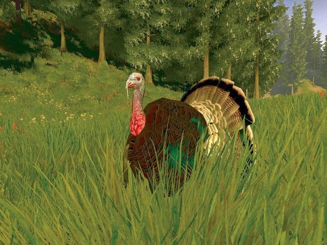 Cabela's Trophy Bucks - Xbox 360 - Retro Island Gaming