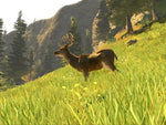 Cabela's Trophy Bucks - Xbox 360 - Retro Island Gaming
