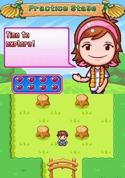 Camping Mama: Outdoor Adventures - Nintendo DS - Retro Island Gaming