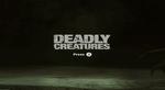 Deadly Creatures - Wii - Retro Island Gaming
