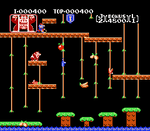 Donkey Kong Jr [5 Screw] - NES - Retro Island Gaming