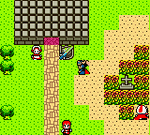 Dragon Warrior I and II - GameBoy Color - Retro Island Gaming
