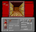 Dungeon Magic - NES - Retro Island Gaming