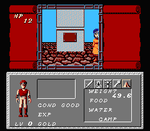 Dungeon Magic - NES - Retro Island Gaming