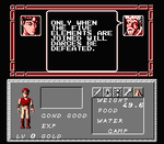 Dungeon Magic - NES - Retro Island Gaming
