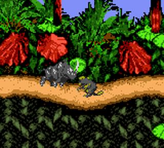 Donkey Kong Country - GameBoy Color