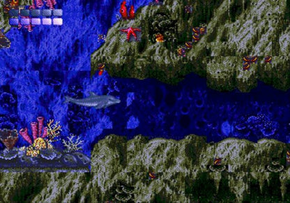 Ecco the Dolphin - Sega Genesis