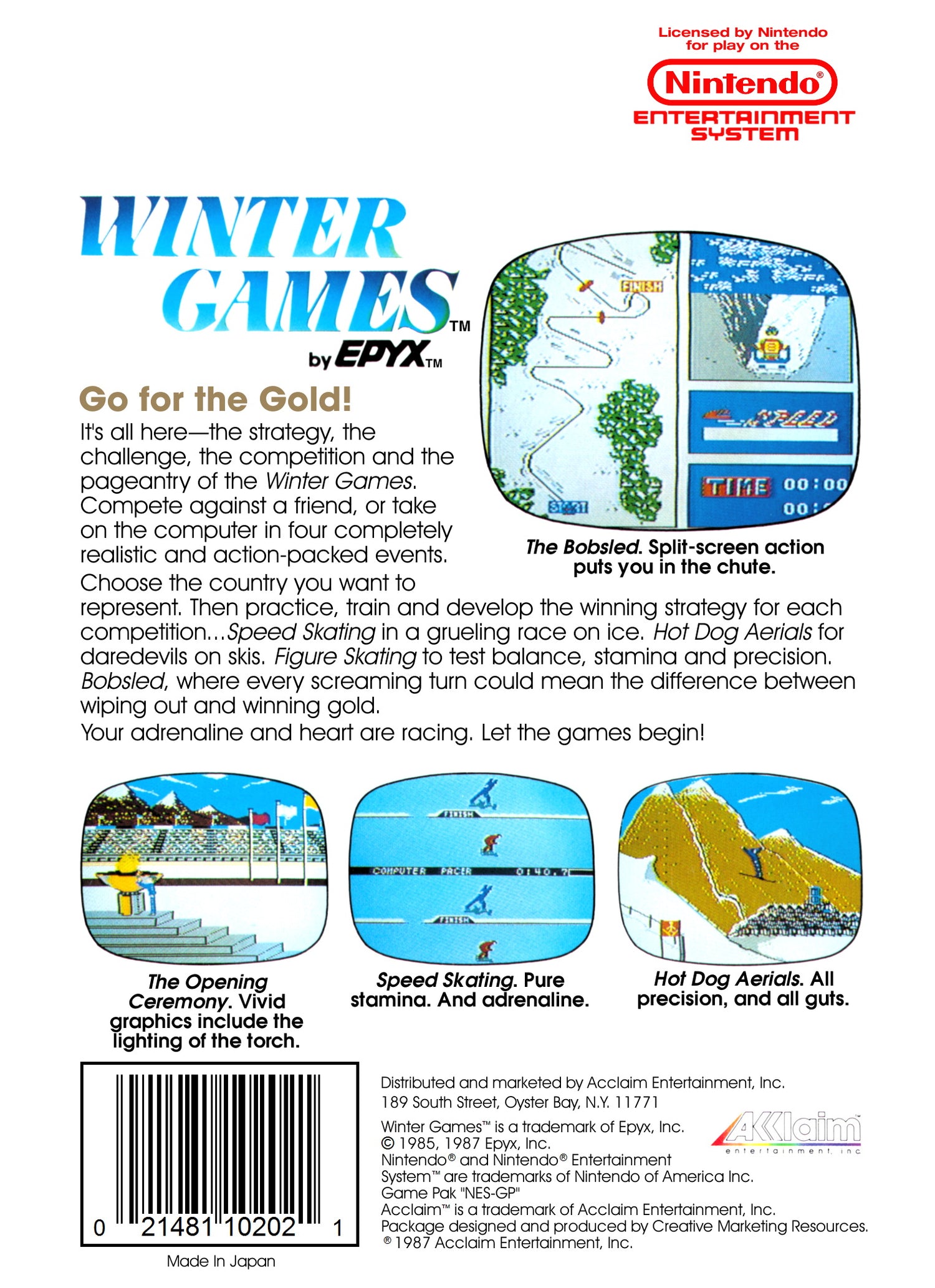Winter Games - NES