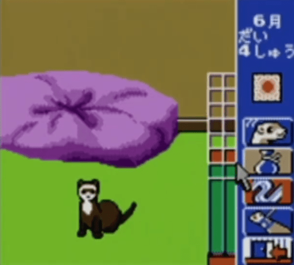 Ferret Monogatari - JP GameBoy Color - Retro Island Gaming