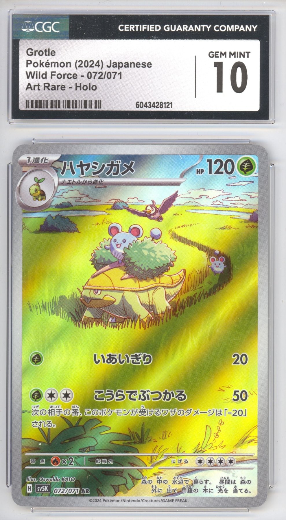 Grotle 72 - Pokemon Japanese Wild Force - Retro Island Gaming