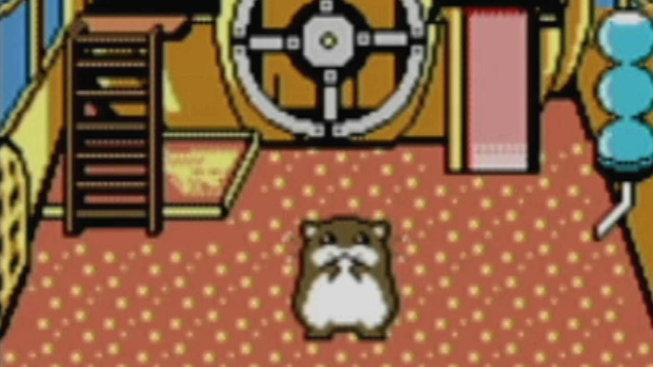 Hamster Paradise 2 - JP GameBoy Color - Retro Island Gaming