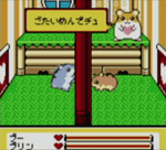 Hamster Paradise 4 - JP GameBoy Color - Retro Island Gaming