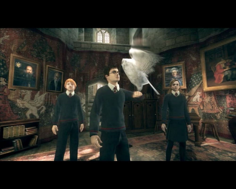 Harry Potter and the Order of the Phoenix - Playstation 2 - Retro Island Gaming