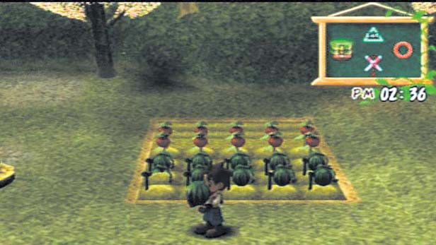 Harvest Moon A Wonderful Life [Special Edition] - Playstation 2 - Retro Island Gaming