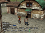 Harvest Moon Another Wonderful Life - Gamecube - Retro Island Gaming