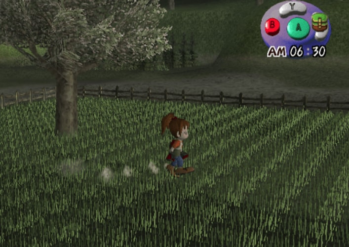 Harvest Moon Another Wonderful Life - Gamecube - Retro Island Gaming