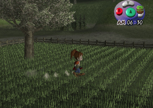 Harvest Moon Another Wonderful Life - Gamecube - Retro Island Gaming