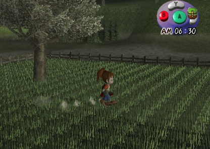 Harvest Moon Another Wonderful Life - Gamecube - Retro Island Gaming