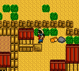 Harvest Moon - GameBoy Color - Retro Island Gaming