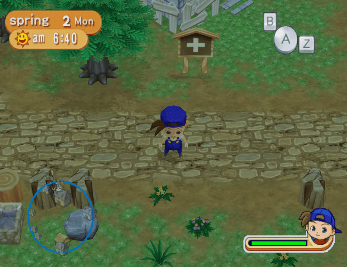 Harvest Moon Magical Melody - Wii - Retro Island Gaming