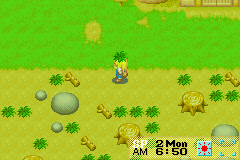 Harvest Moon More Friends of Mineral Town - GameBoy Advance - Retro Island Gaming