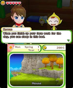 Harvest Moon: Skytree Village Limited Edition - Nintendo 3DS - Retro Island Gaming