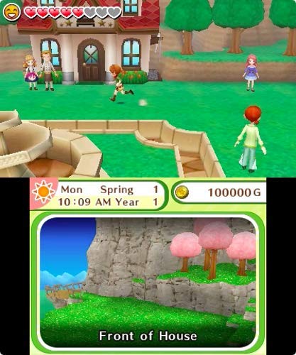 Harvest Moon: Skytree Village Limited Edition - Nintendo 3DS - Retro Island Gaming