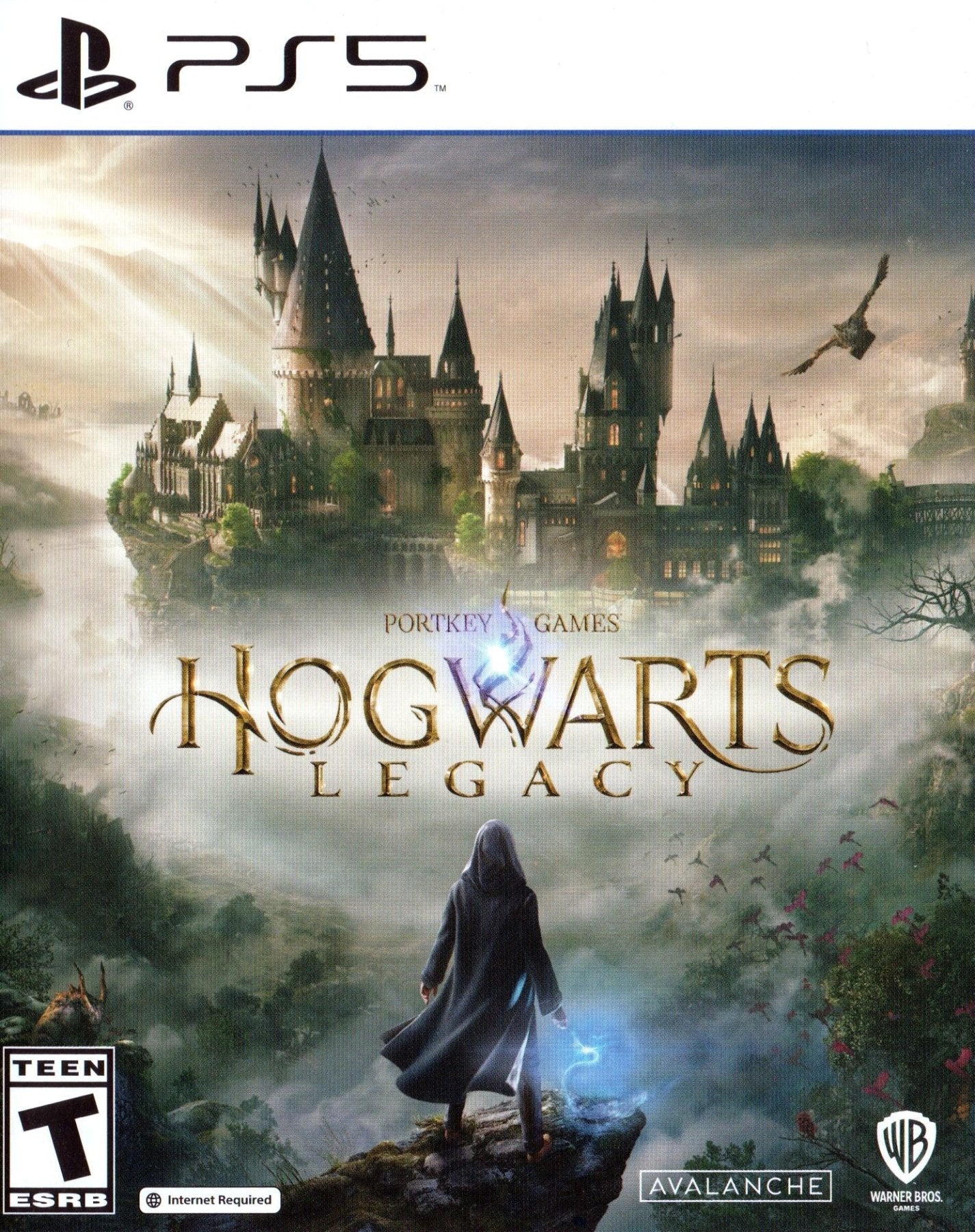 Hogwarts Legacy - Playstation 5 - Retro Island Gaming