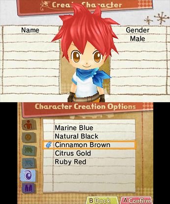 Hometown Story - Nintendo 3DS - Retro Island Gaming