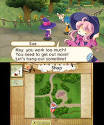 Hometown Story - Nintendo 3DS - Retro Island Gaming