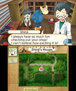 Hometown Story - Nintendo 3DS - Retro Island Gaming