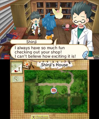 Hometown Story - Nintendo 3DS - Retro Island Gaming