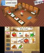 Hometown Story - Nintendo 3DS - Retro Island Gaming