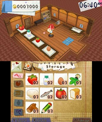 Hometown Story - Nintendo 3DS - Retro Island Gaming
