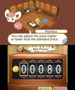 Hometown Story - Nintendo 3DS - Retro Island Gaming