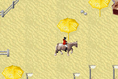 Horsez - GameBoy Advance - Retro Island Gaming