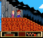 Jackie Chan's Action Kung Fu - NES - Retro Island Gaming