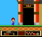 Jackie Chan's Action Kung Fu - NES - Retro Island Gaming