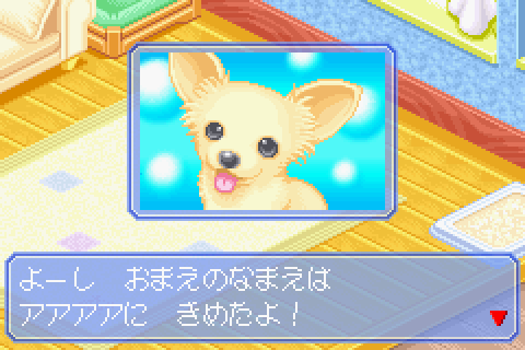 Kawaii Koinu Mini: Wanko to Asobou - JP GameBoy Advance - Retro Island Gaming