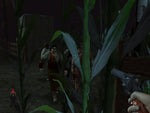 Land of the Dead Road to Fiddler's Green - Xbox - Retro Island Gaming