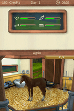 Let's Ride Friends Forever - Nintendo DS - Retro Island Gaming